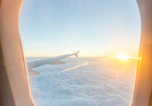 Book American Airlines flights with the best offers