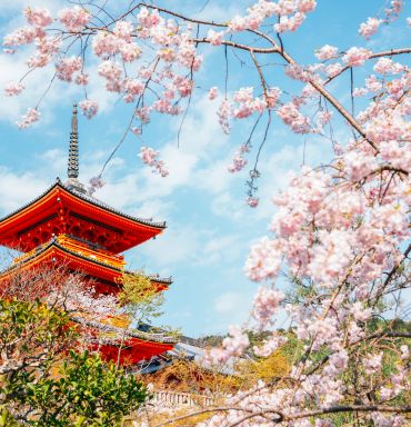 Find the best booking deals on Kyoto flights